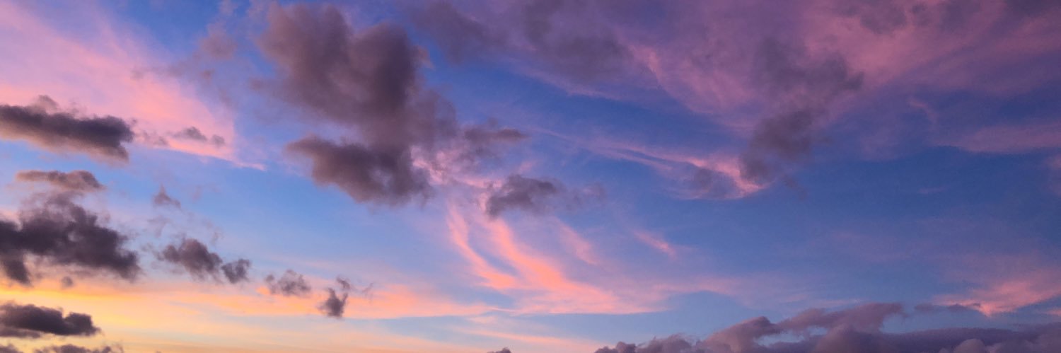 eleahphant's profile banner image