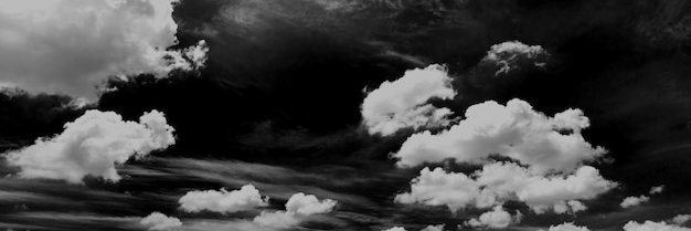 laura_izzi's profile banner image