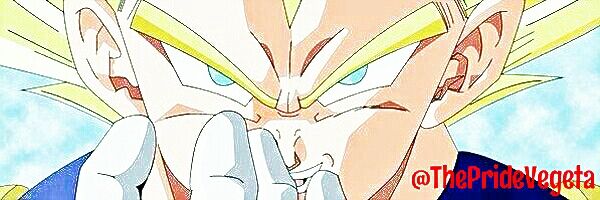ThePrideVegeta's profile banner image