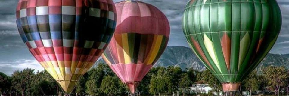 lynn_pappas's profile banner image