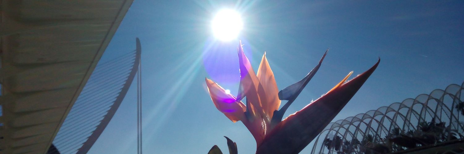 Sther_Zen's profile banner image