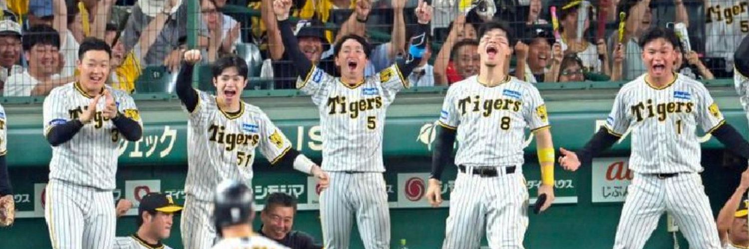 tigers_peipei's profile banner image