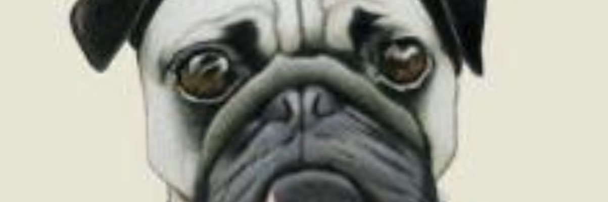 C_Jacob25's profile banner image