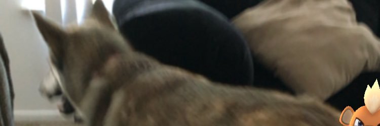 tee_nels's profile banner image