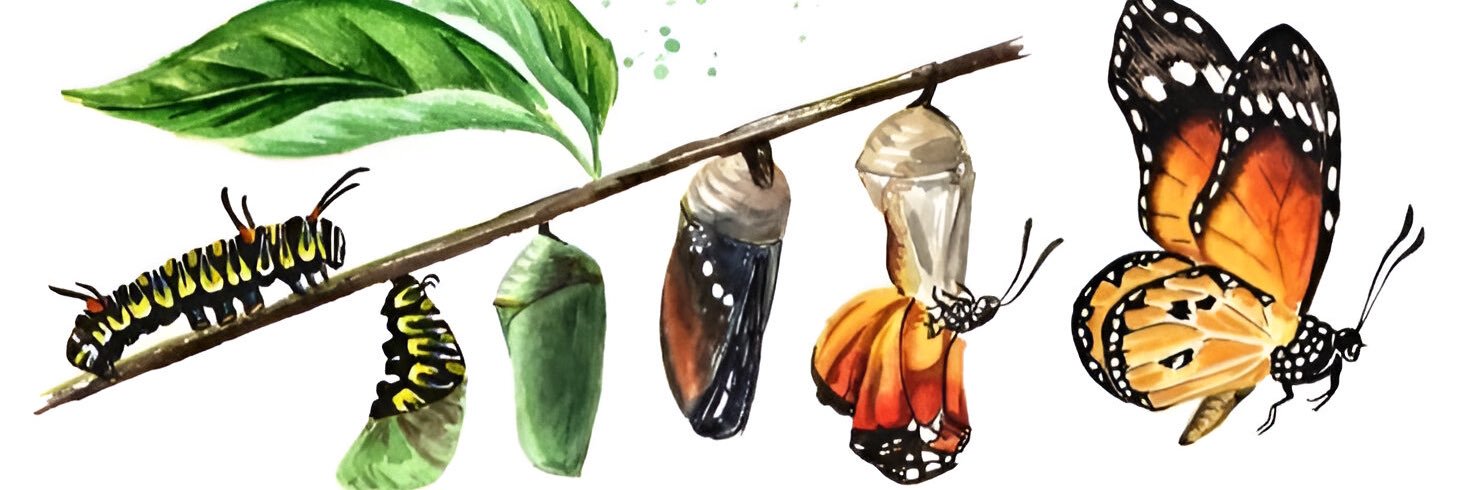 PreciousDipsy's profile banner image