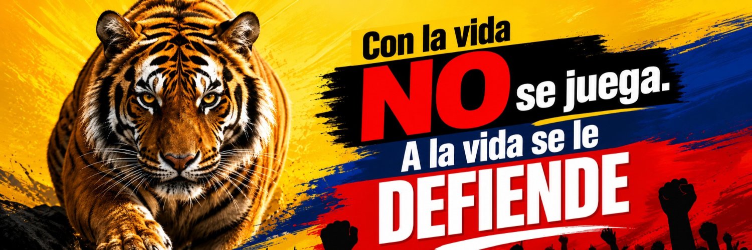 beatrizcampillo's profile banner image