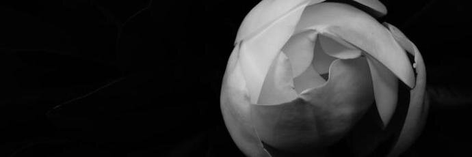 misia_Maria's profile banner image