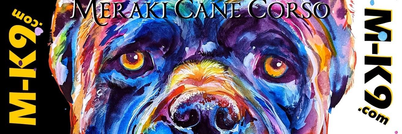 MerakiCaneCorso's profile banner image