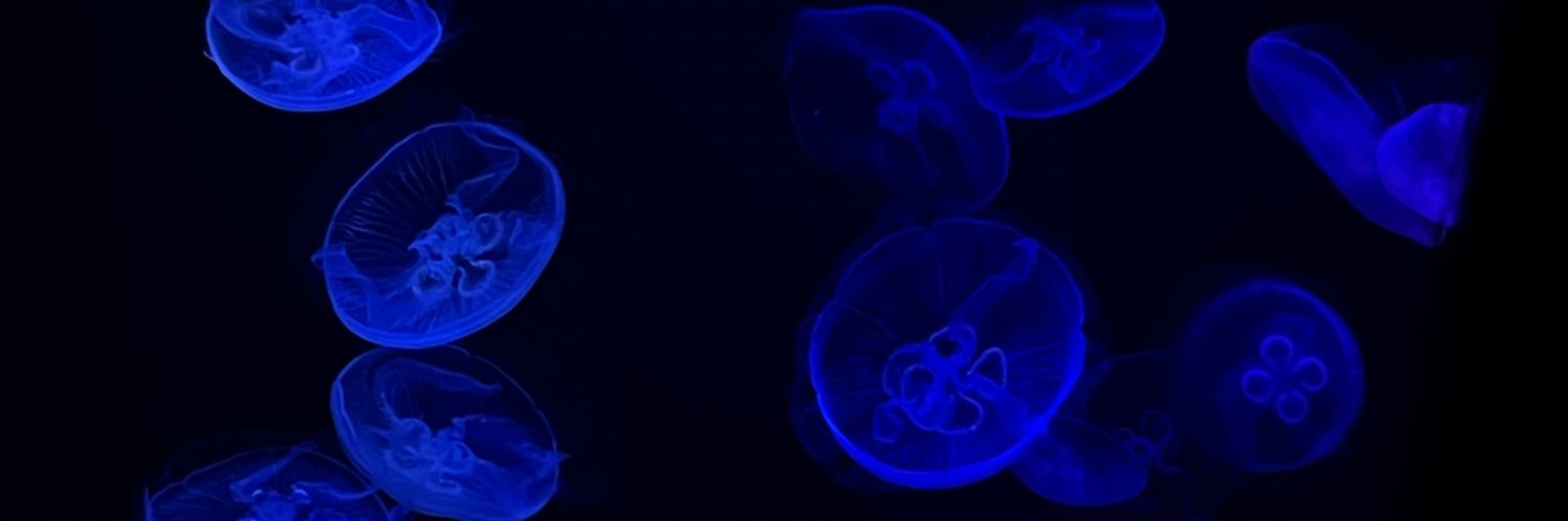 2001tbs's profile banner image