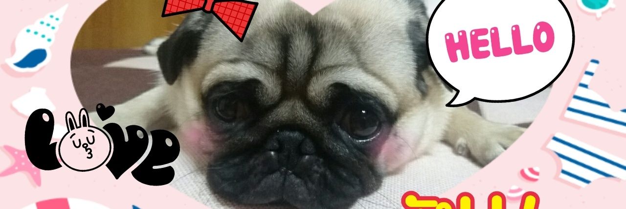n7a0o5trap's profile banner image