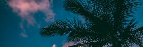 cokelatseduh's profile banner image