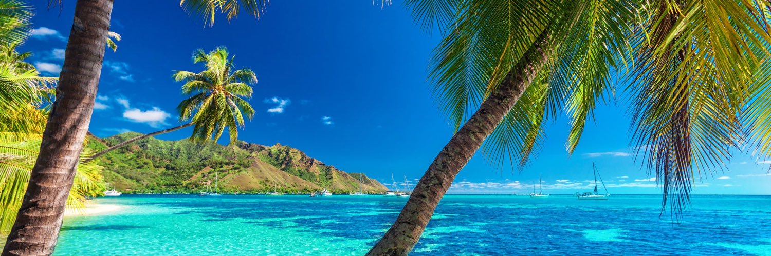 TropicalBeach88's profile banner image