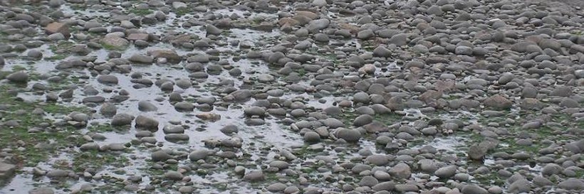polardog56's profile banner image