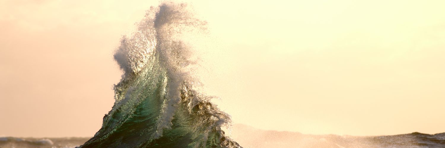 cascara4's profile banner image