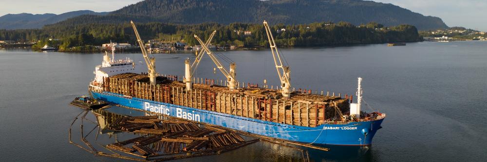 Pacific Basin Shipping banner