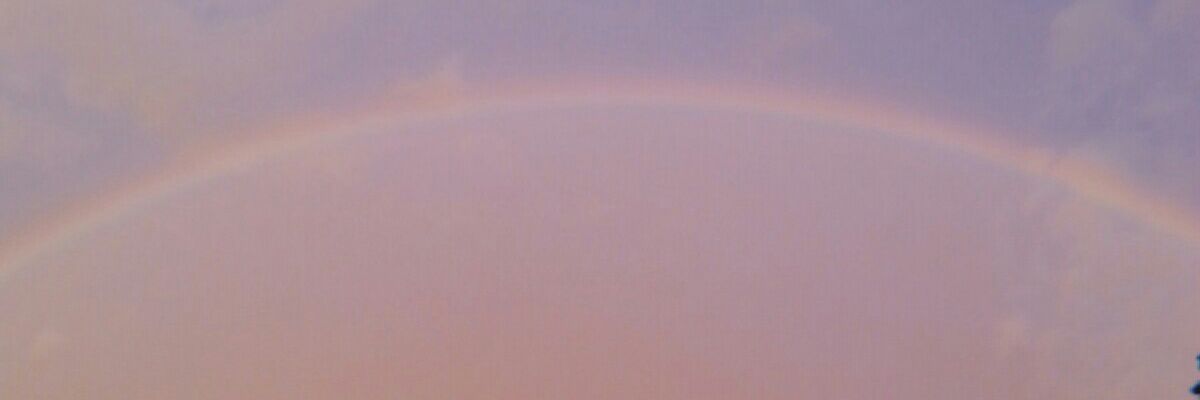 Nfatinsyahirah's profile banner image