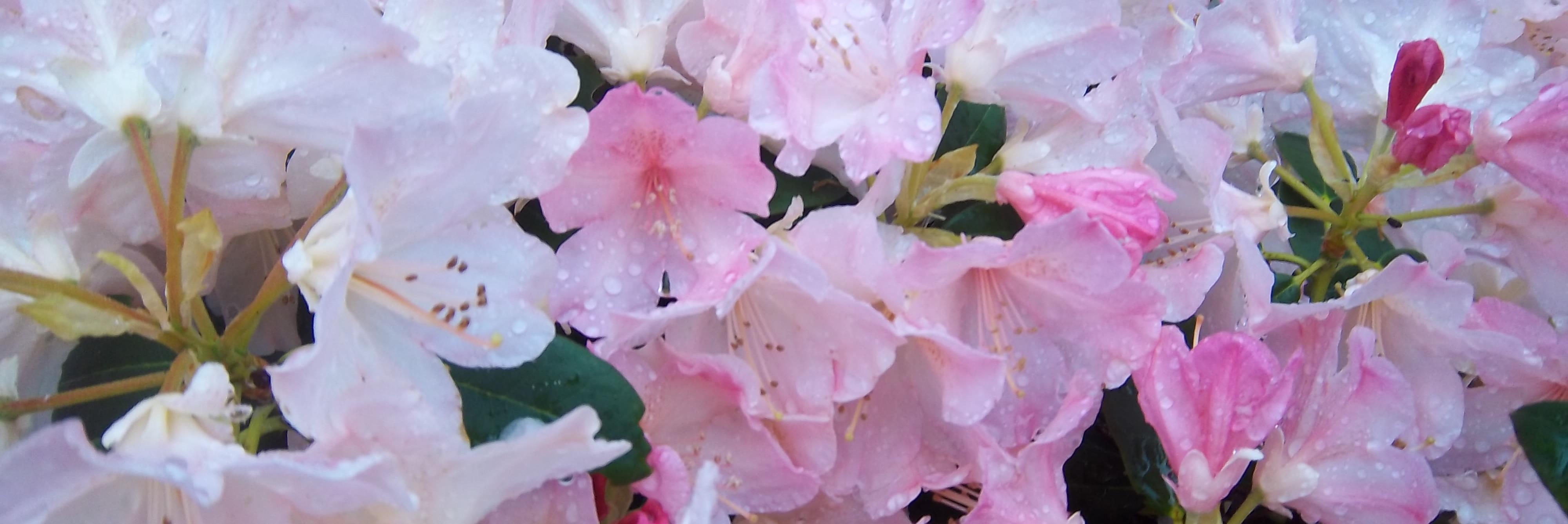 intensley's profile banner image