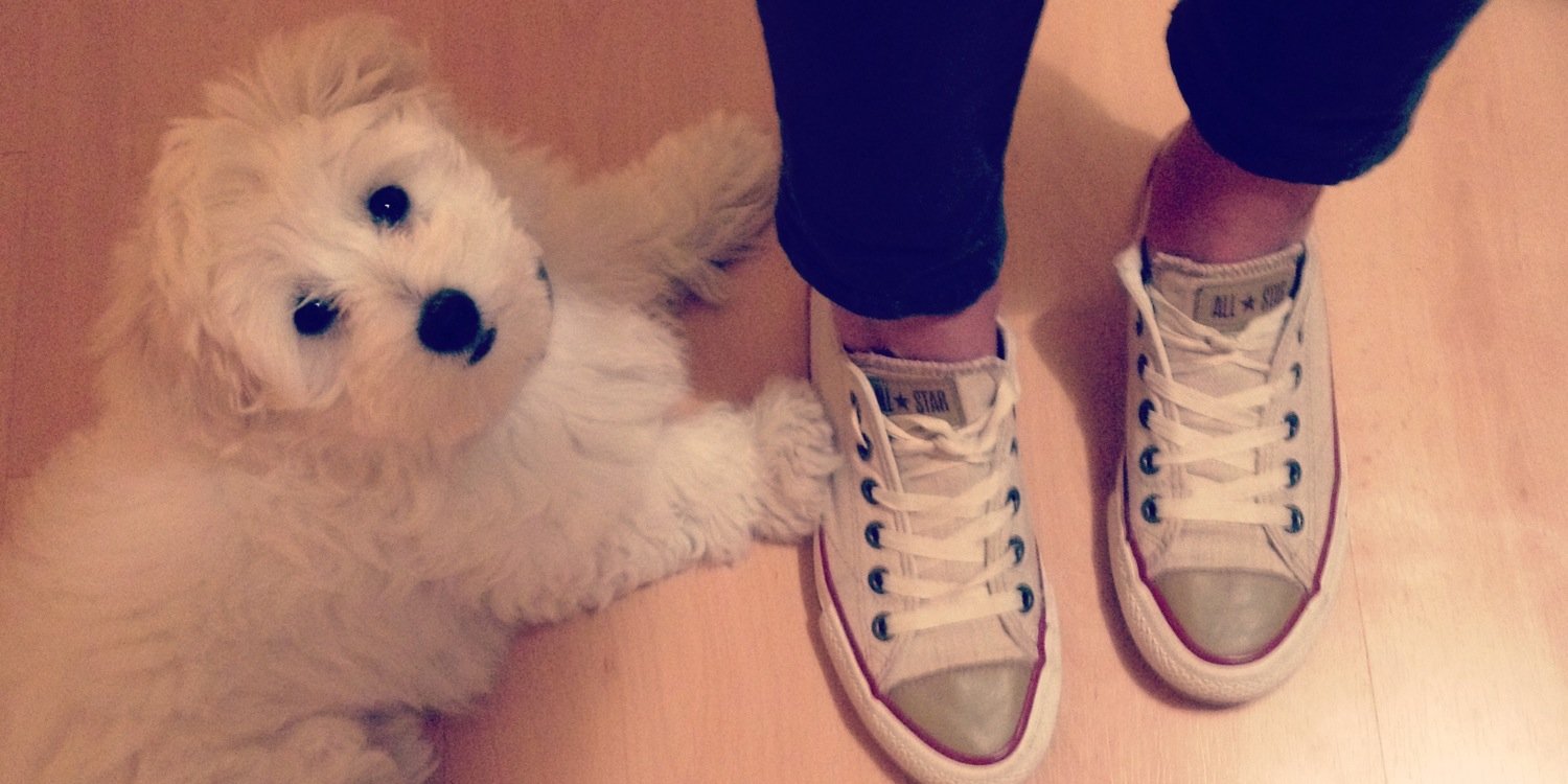 1508Jess's profile banner image