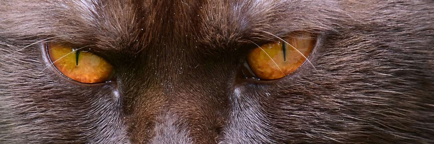 MARCUSPORTEE's profile banner image