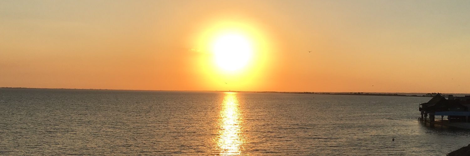 capearson34's profile banner image