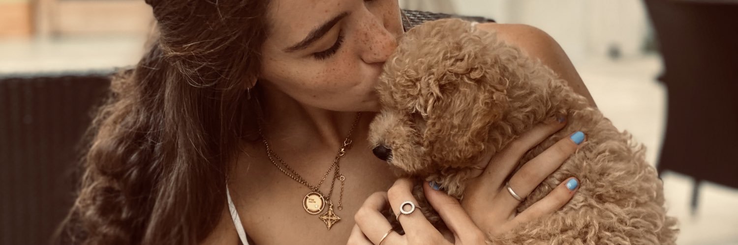 Lluisacoll's profile banner image
