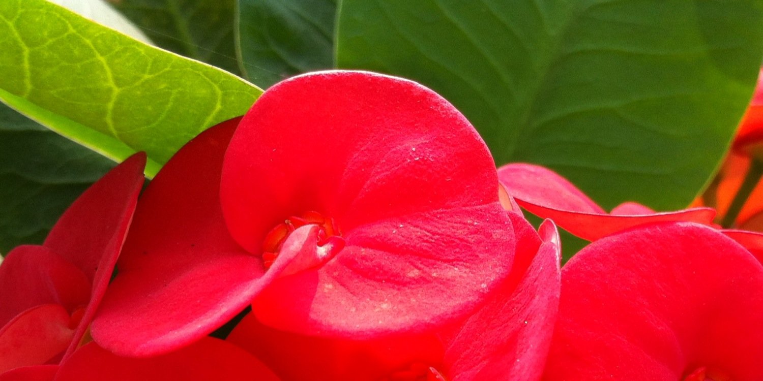 ratna_ida's profile banner image