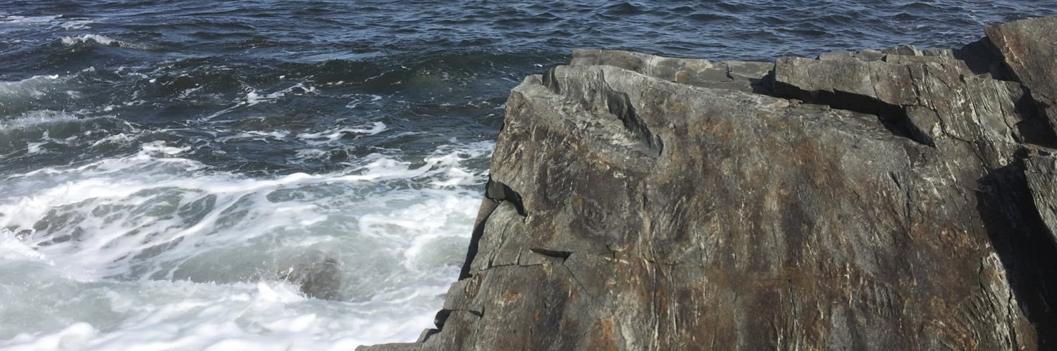 Emily G Mitchell banner