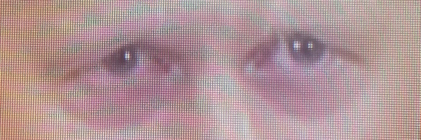 Dermside's profile banner image