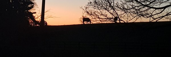 NeilLiver Profile Banner