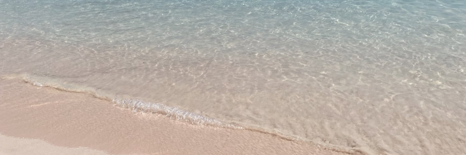 sashi_lda's profile banner image