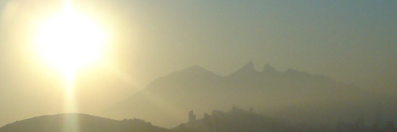 PepeInMex 🇲🇽 banner