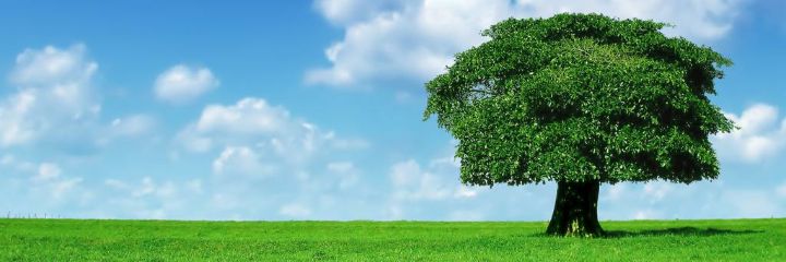 يوسف المطرود banner