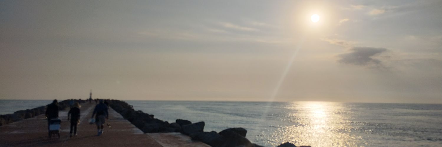 José Luis Santisbón banner