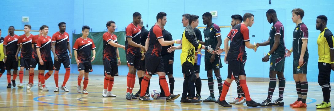 DMU Silverbacks FC banner