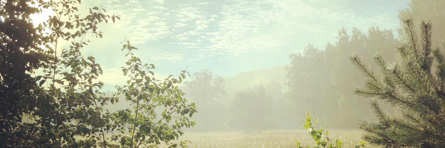 Dace 🇺🇦 banner