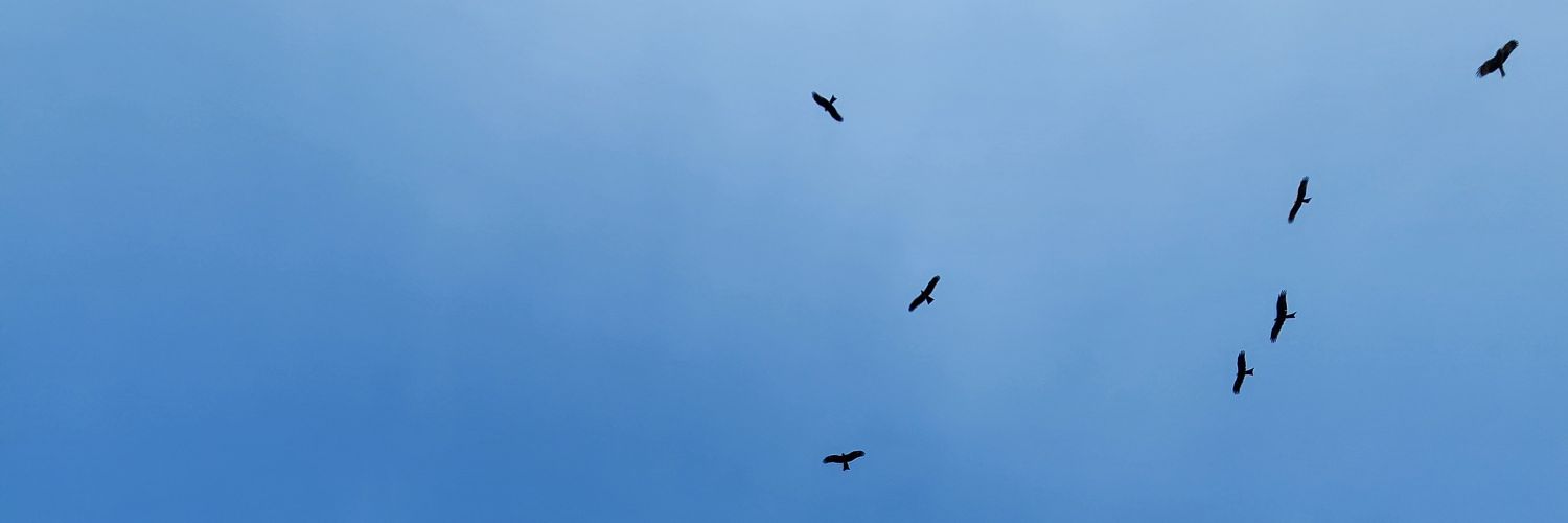 theproductguy_'s profile banner image