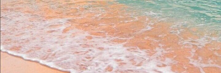 annlicious__'s profile banner image