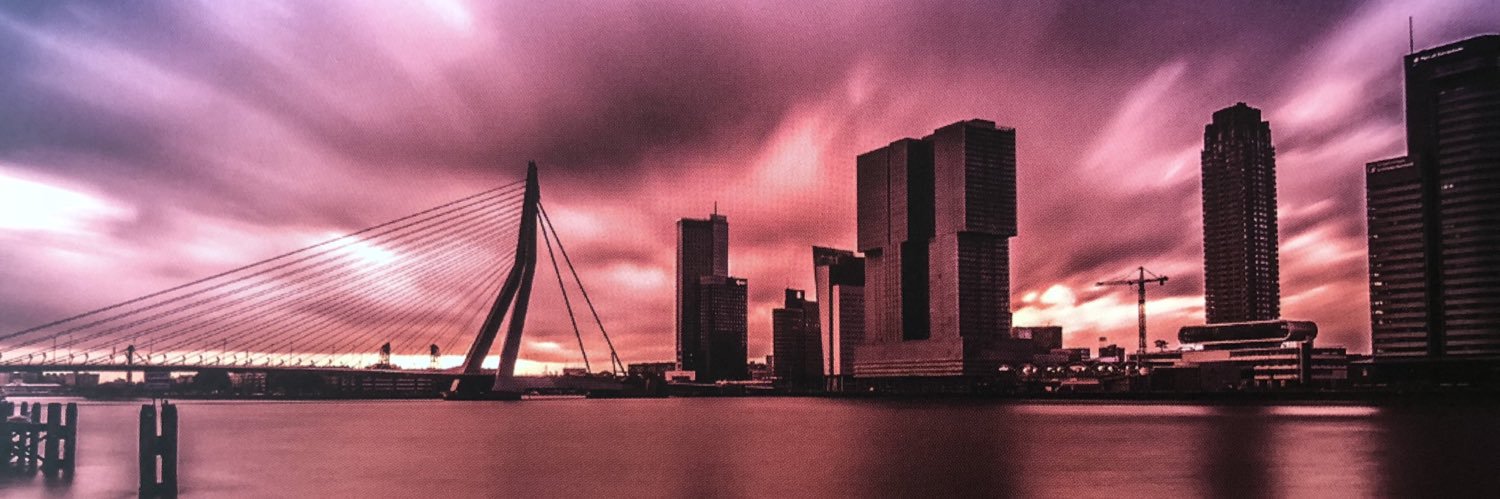 Niels Geursen [vExpert] banner