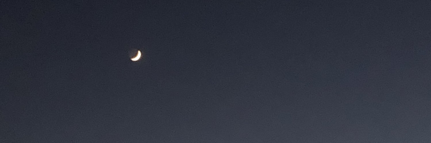 Federicafusaro's profile banner image