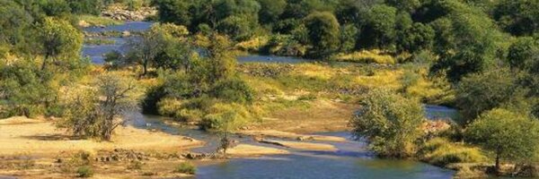 Thya15 Profile Banner