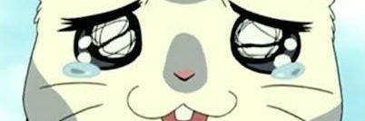 boi_kun's profile banner image