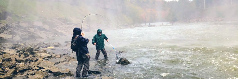 RayD2fish's profile banner image