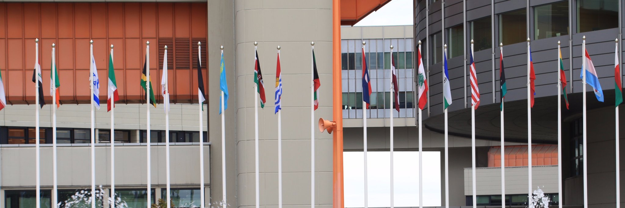 DNP Education banner