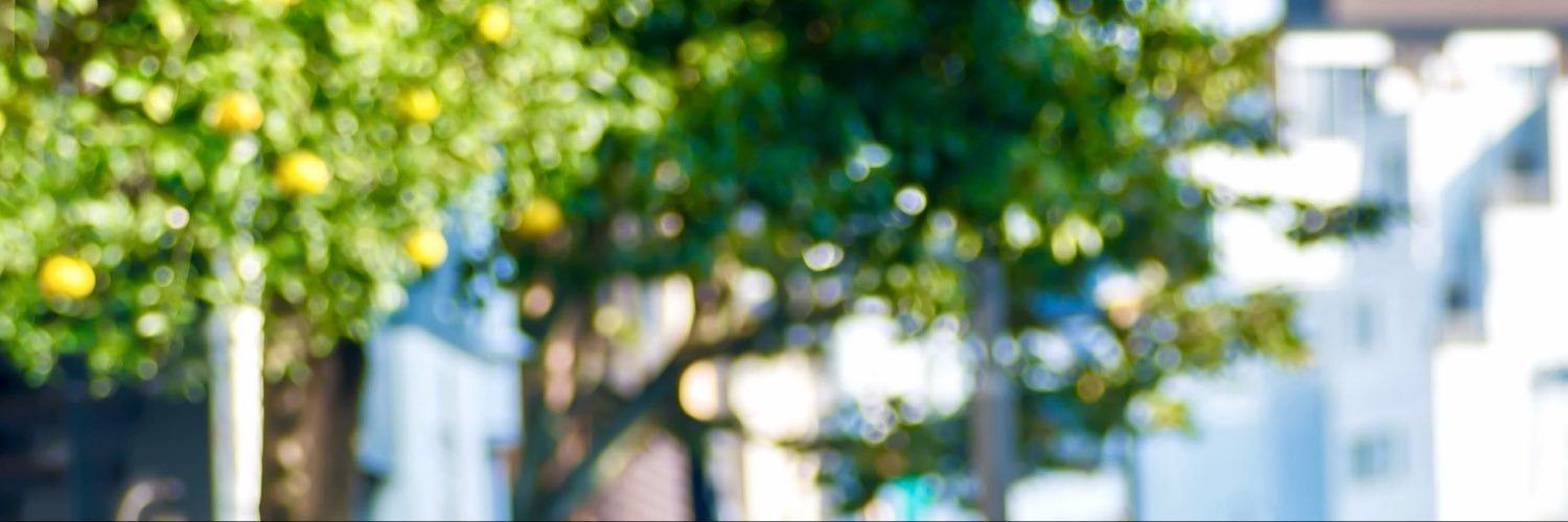 40ml5m's profile banner image