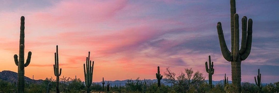 BeccaBogdansky's profile banner image