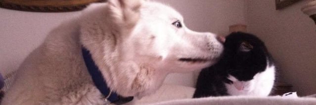 AnnaHutton_'s profile banner image
