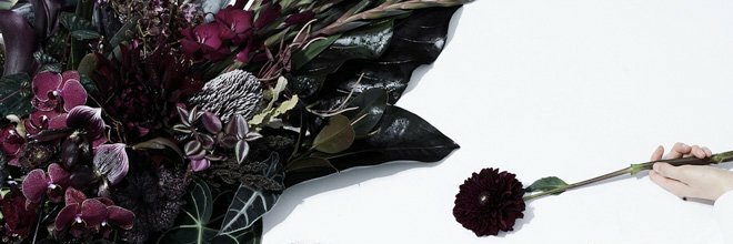 maho_oc's profile banner image