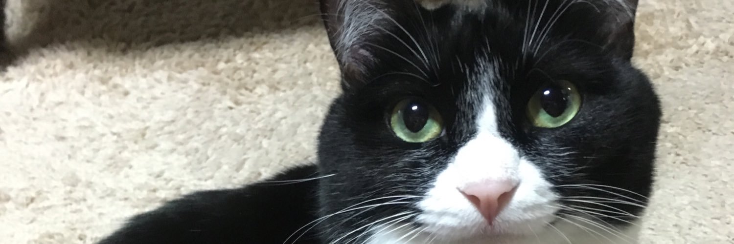 garlic_neko's profile banner image