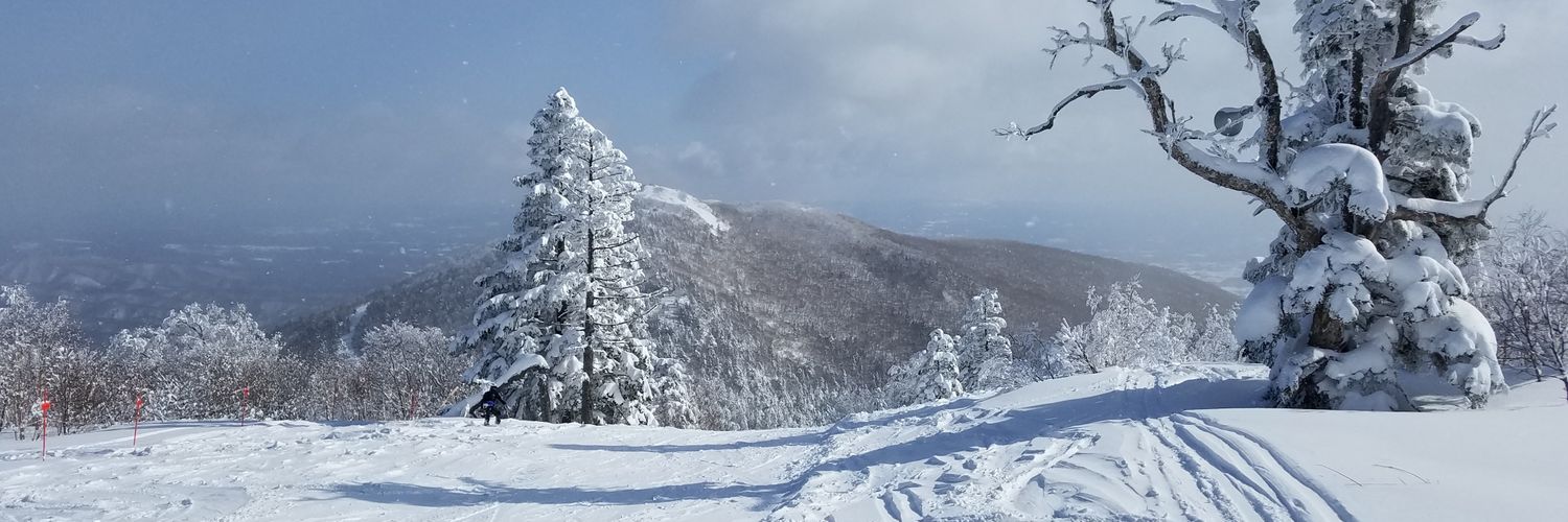 hashi_snow's profile banner image