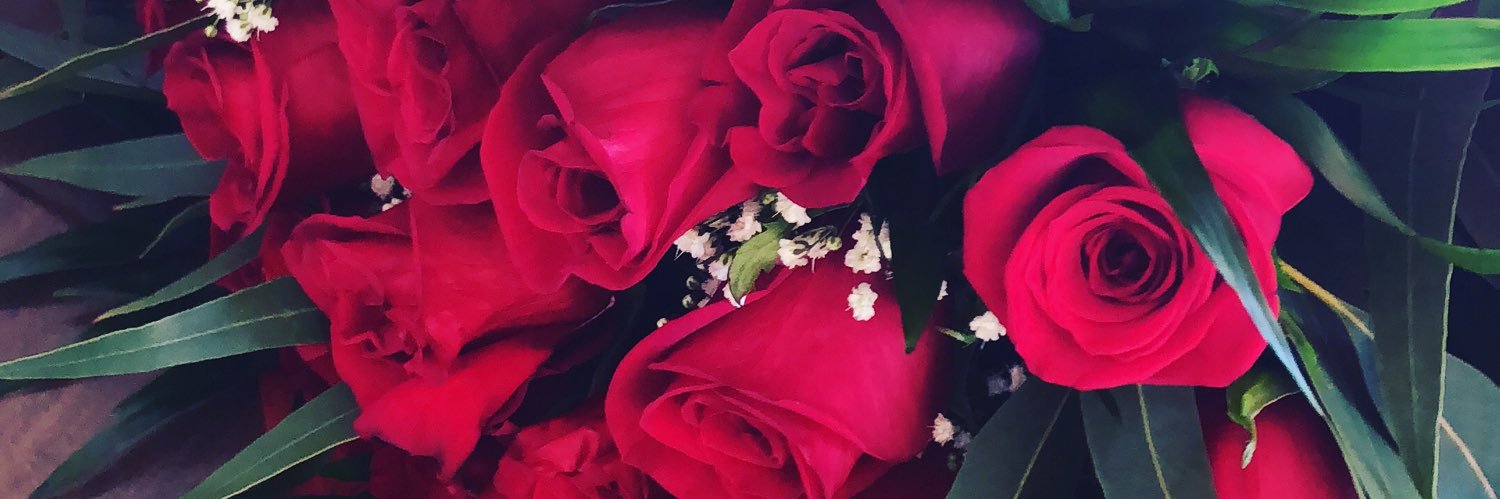 Eva Zamora/❤️ banner